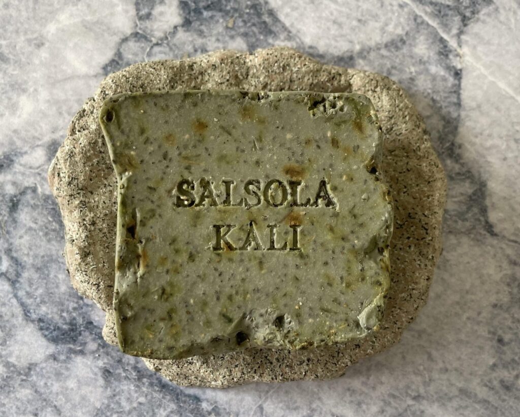 Fresh green fig and thyme scented Illite mineral soap by Salsola Kali.