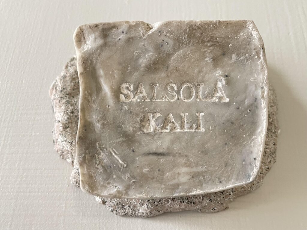 Salsola Kali Granite mineral soap with natural stone-inspired speckling.