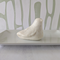 PXL_20260308_144413617 (1)