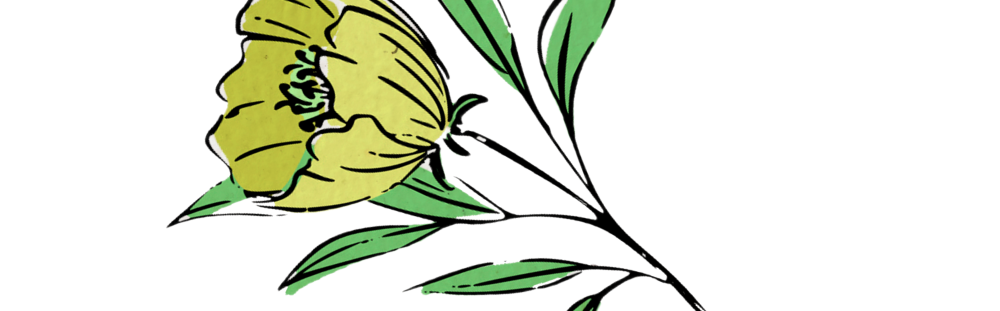 SK LOGO WITH YELLOW FLOWER