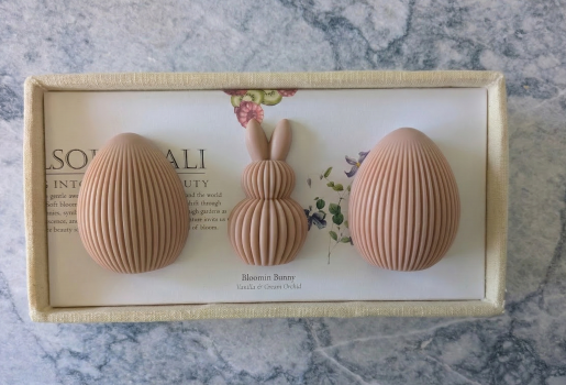 VANILLA & CREAM ORCHID