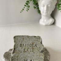 Refreshing Illite botanical clay soap bar with an irregular quarried design.