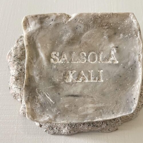 Salsola Kali Granite mineral soap with natural stone-inspired speckling.